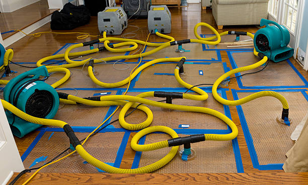 Professional Water Damage Repair technician working in Hempstead, NY